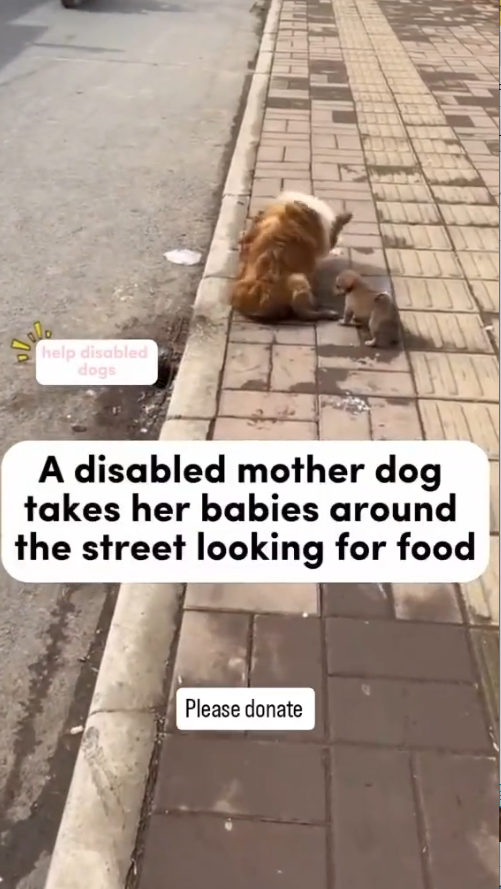 M1312001_Even helps #fyp #usa tiktok #lunchtime #fypchallenge_part2