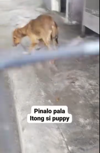 M0912030_Ang apoy sa dibdib ng pag liligtas ay hindi mawawala PAPS JinoK_part2