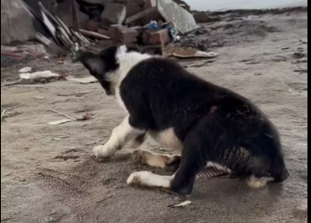 M1412010_Alhamdulillah before and after. Md Abdul Kaium_part2