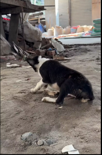 M1412010_Alhamdulillah before and after. Md Abdul Kaium_part2