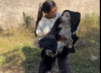 M1412011_Mom ❤️ Shivkanaya Jeev Ashray_part2