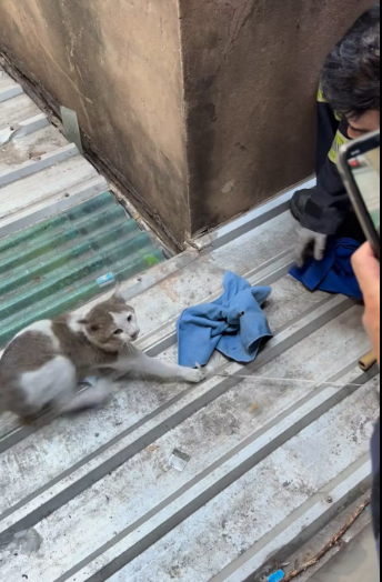 M1412012_Officer attempts to rescue cat stuck in a gap next to the bathroom. Chaloem Chanthason_part2