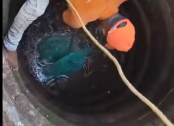 M1412013_Another amazing rescue by team WAG A humble appeal to everyone — please cover your wells. This poor dog was found des_p