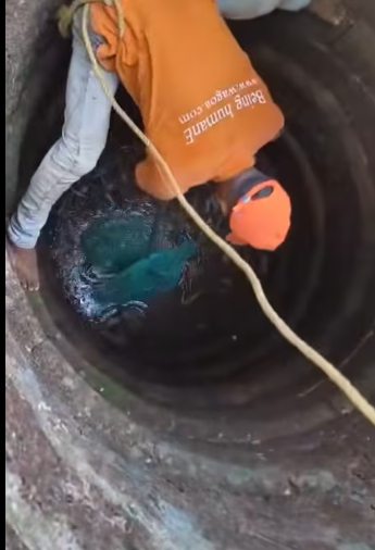 M1412013_Another amazing rescue by team WAG A humble appeal to everyone — please cover your wells. This poor dog was found des_p