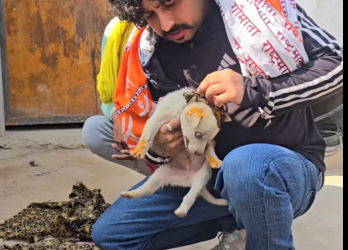 M0912032_Nitu Rathee on Reels_part2