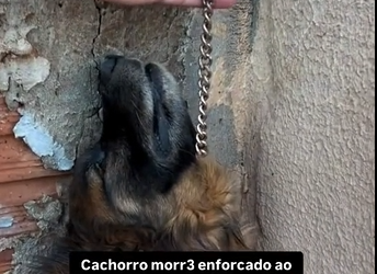 M0801013_#liveincentiveprogram #SpareMomentsLIVE #PaidPartnership _part2