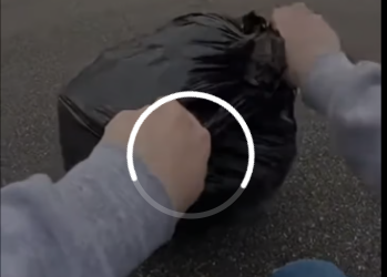 M0801018_The Husky Rescued from a Trash Bag He’s finally out of the woods and will be cherished for the rest of his days#dog #ki