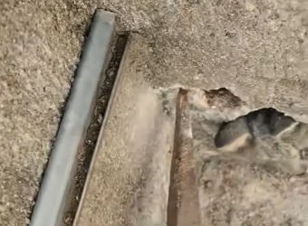 M0801020_I found a cat stuck in the wall. It was crying desperately for help, so I decided to rescue it immediately, and then…#