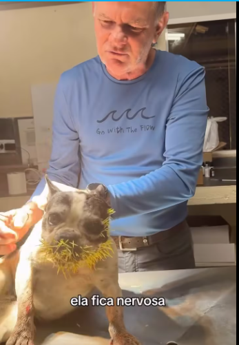 M1101024_� ELA FOI SEDADA NO VIDEO! ESSE VÍDEO FOI GRAVADO MOSTRANDO ESSA SITUAÇÃO DELA, PARA ALERTAR OS TUTORES QUE DEIXAM OS_