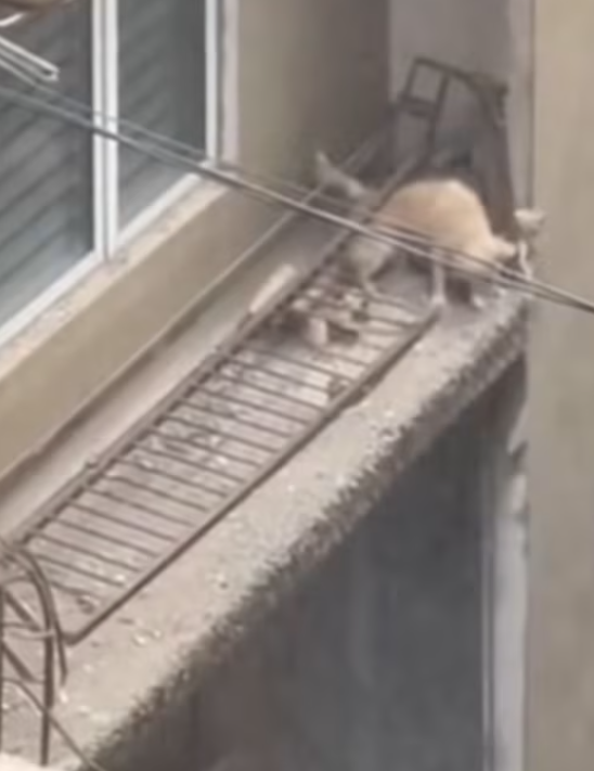 M1101025_From across the street, everything felt fragile. The structure weakened. Time slowed. And in that moment, every second_