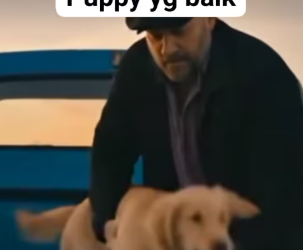 M1304003_puppy yg baik_part2