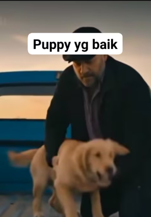 M1304003_puppy yg baik_part2