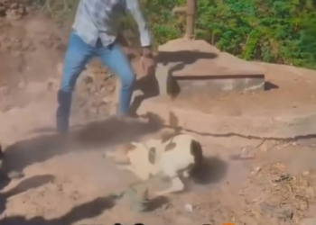 V0801005_Video_751173431380192_part2