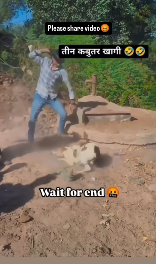 V0801005_Video_751173431380192_part2