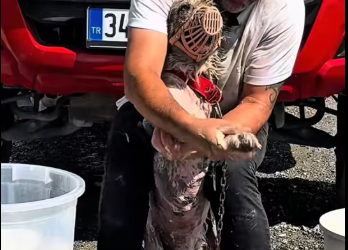 M1401009_#keşvet herhangi bir yardım kabul etmiyorum teşekkür ederim_part2