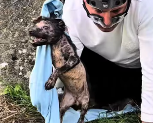 M1401010_kardeşler_part2