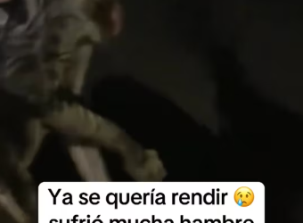 M1401016_Altas horas de la noche lloraba del dolor ya se quería rendir sufrió mucho_part2