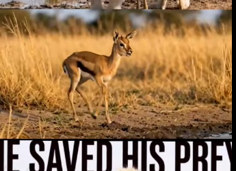 M1501013_#Only Love Only Love #Only Love Only Love_part2