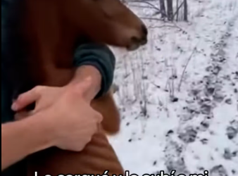 M1701001_Este Caballo Se Convirtió En Mi Mejor Amigo_part2