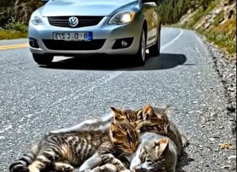 M2101016_Help #ai #usa_part2