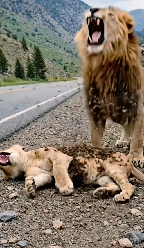 M2101024_FSave.com_Reel_Media_008_932025569158162v_part2