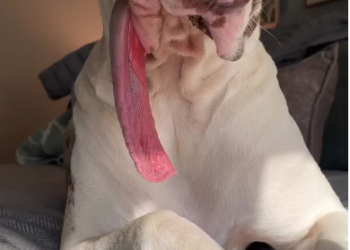 22/01  side of sunshine Arrowtotherescue