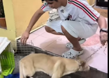 M2601015_Masaya ko makita na yung nga inilaban natin eh normal na ulit ang buhay. � Raevin Bonifacio Blogs_part2