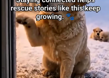 M0301020Fear of encountering kindness along the way. A choice that turned danger into safety. Staying connected helps rescupart2