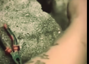 PM1601010_ dog #rescuedog #helpdog #poordog #dog #dogs #puppy #fyp #foryo…_part2