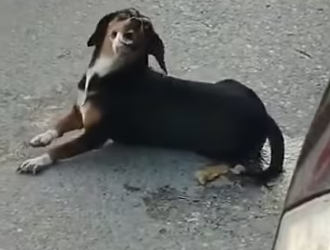 M2801006_Day Uribe_part2