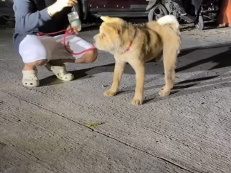 M2801009_ Huwag kayo mag-alala safe na siya ��� Raevin Bonifacio Blogs_part2