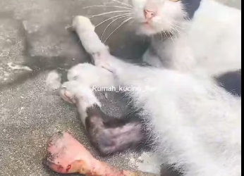 M2801011_FSave.com_Facebook_Media_008_1944637016146780v_part2