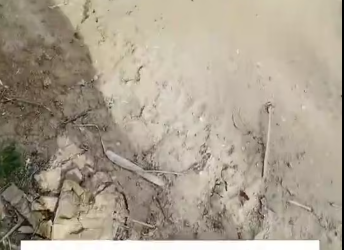 M2801014_I found a newly born puppy on the street.It looked so pitiful that I decided to take it home,and then…#rescue #animals