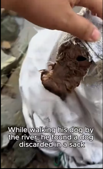 M2801022_Will anyone come and help him with that look in his eyes?