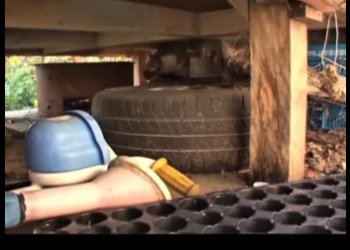 M3101012_Un chat lutte pour manger à cause d’un peut coincé dans sa tête. #rescue #cat #rettung #sauvetage #rescuecat #cats #ch