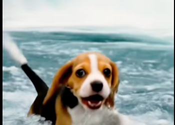 M3112016_Brave Penguin Rescues a Drowning Poor Puppy in the Sea �‍_part2