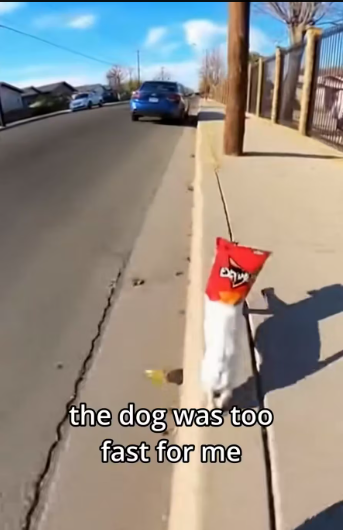 M0601025_She thought she wouldn get in trouble made sure she did #kin…_part2