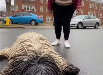 M0601026_He did was almost too late #kindness #animal #animal_part2