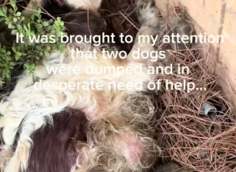 M0801002_How someone can be so cruel, unkind, insensitive, inconsiderate_part2