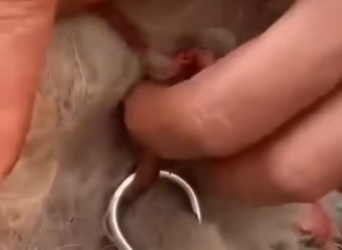 M0801005_ Me llamaban Mugre mientras la cadena me quitaba la vida El angel de la montaña_part2