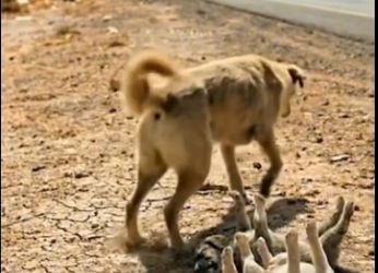 M0801010_�����_1908889033356356_part2