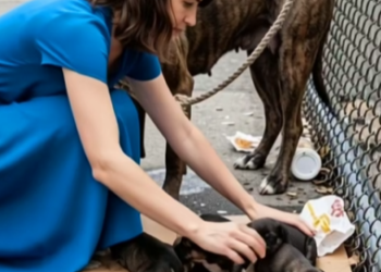 M1302003_❤️🙏_part2