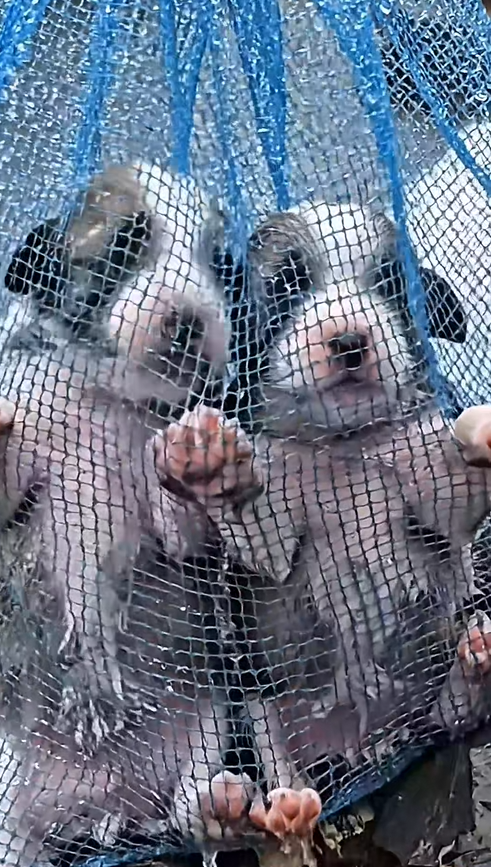 M1302008_When Humanity Shows Up in the Storm 🌧️✨_part2