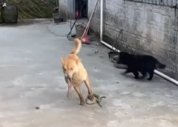 M0202004 Story Will Break