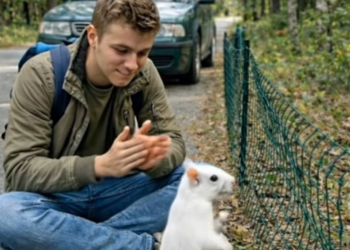 M0402016 Kind Hearted Man Rescues a Poor Squirrel Trapped in a Net ✨🐿️❤️ part2