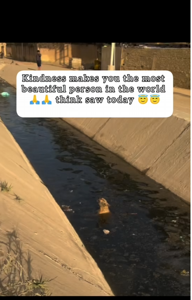 M0502003_Always be kind ❤️❤️❤️