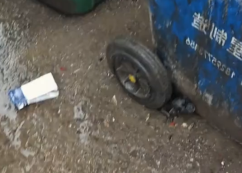 M0802003_I found an abandoned puppy. It was so pitiful that I decided to take it home, and then…#rescue #animals #dog