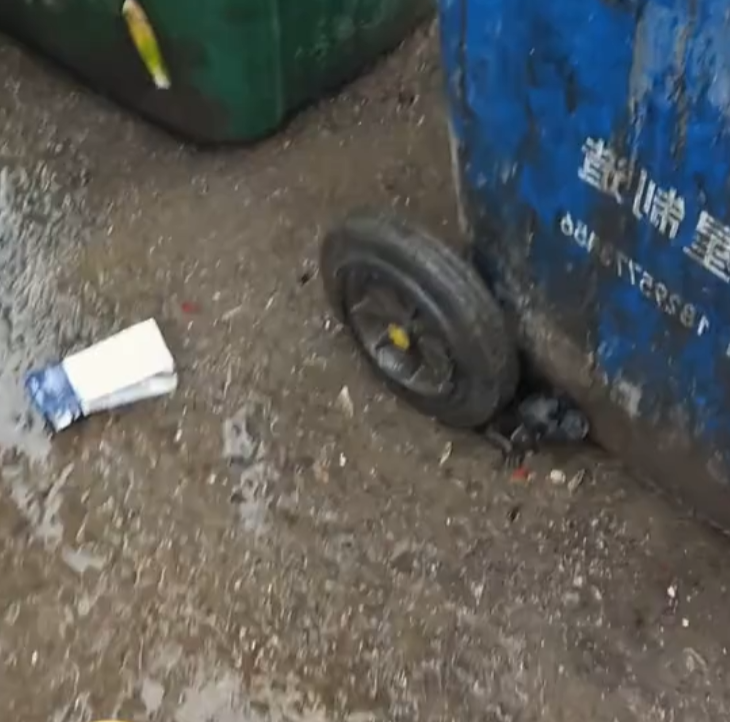 M0802003_I found an abandoned puppy. It was so pitiful that I decided to take it home, and then…#rescue #animals #dog