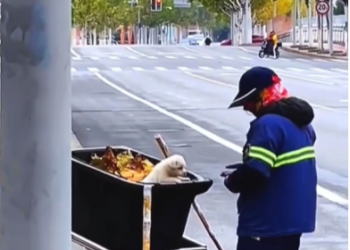 M0902002_This woman rescue a puppy. #rescue #rescueanimals #animals #puppy #fyp _part2