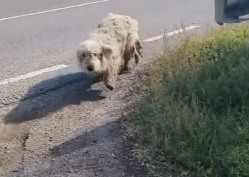 M1202011_Video_2100285654103956